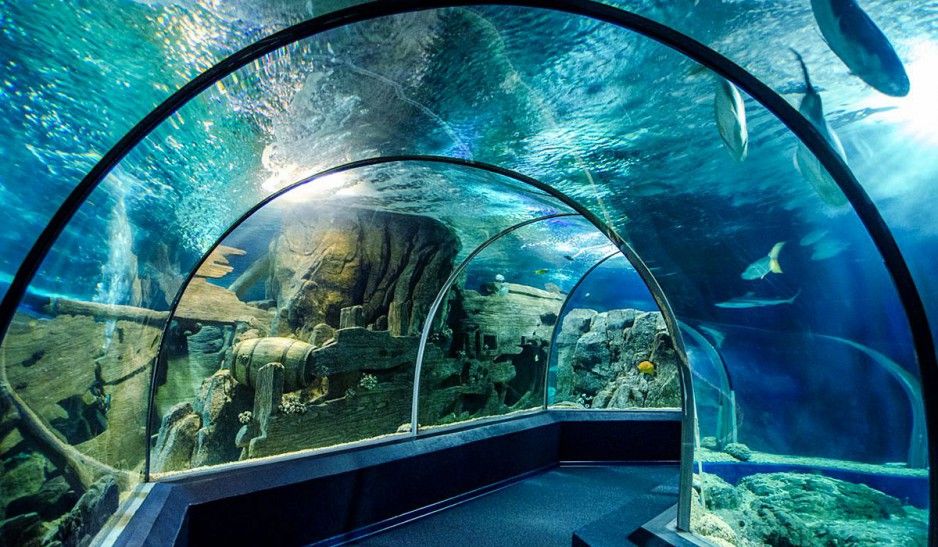 Фото Сочинский океанариум внутри
