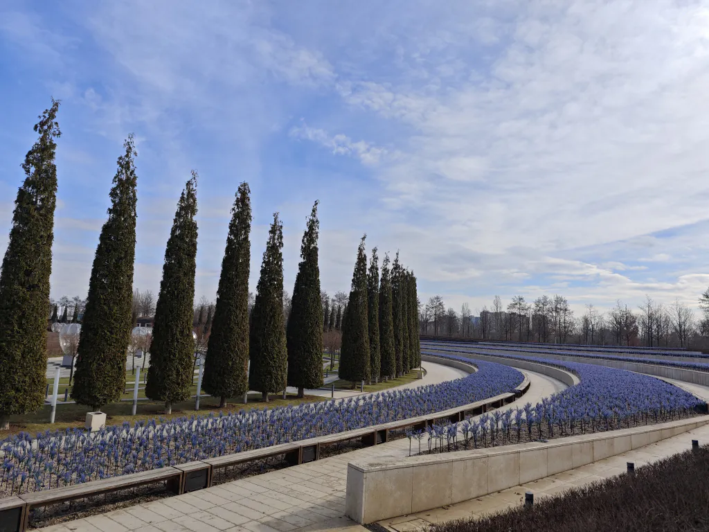Фото деревьев и растительных насаждений в парке галицкого