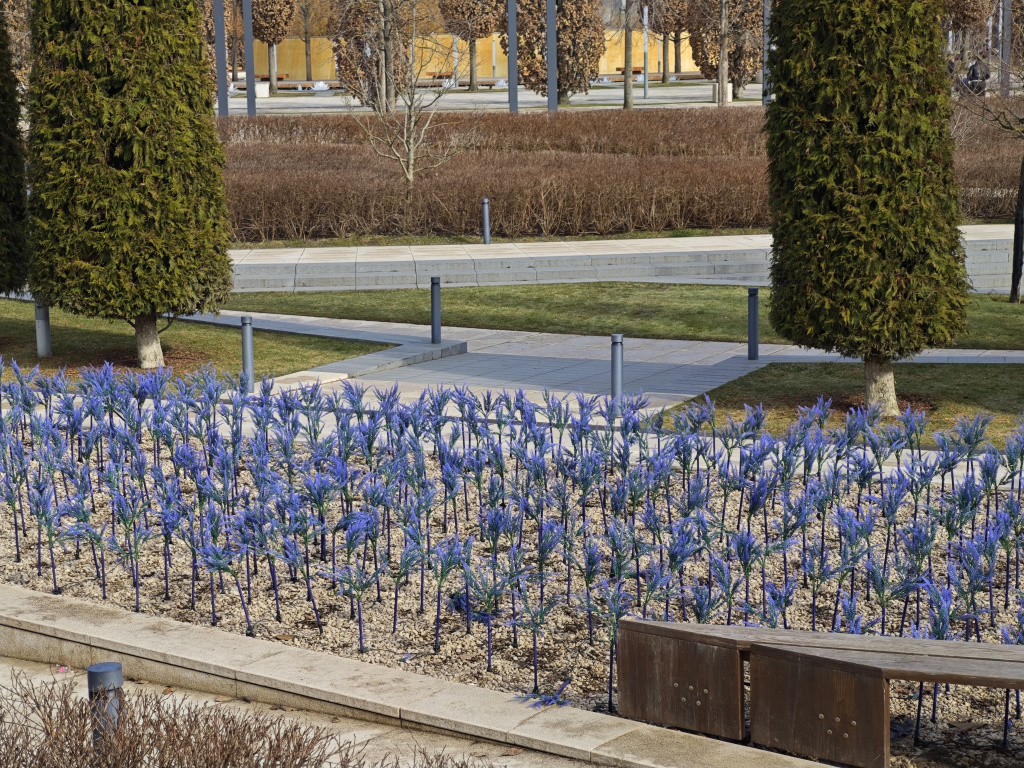 Цветущие растения в парке галицкого