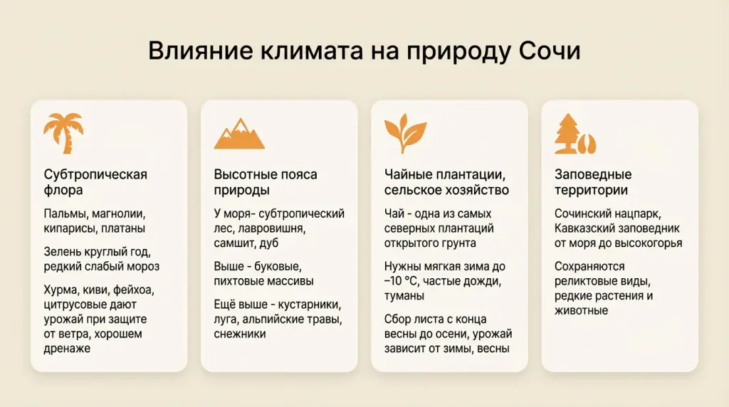 Влияние климата на природу Сочи