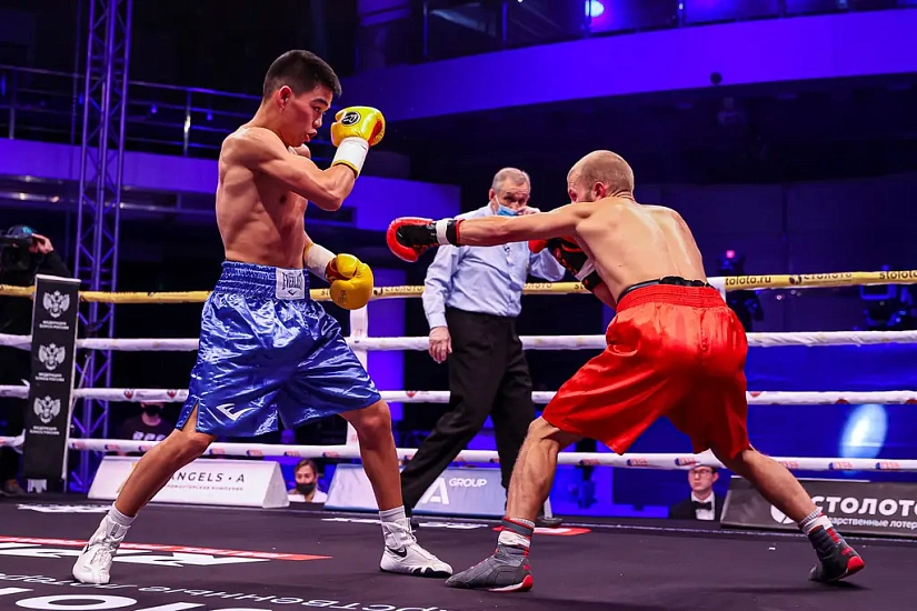 Чемпионат мира по версии WBC