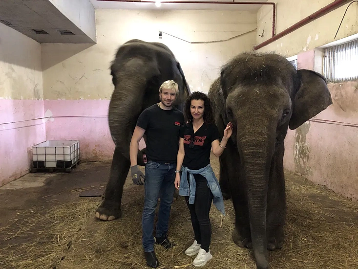 Песочница для слонов