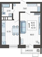1-комнатная квартира №250, 42.4200 м²