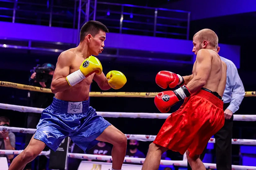 Чемпионат мира по версии WBC